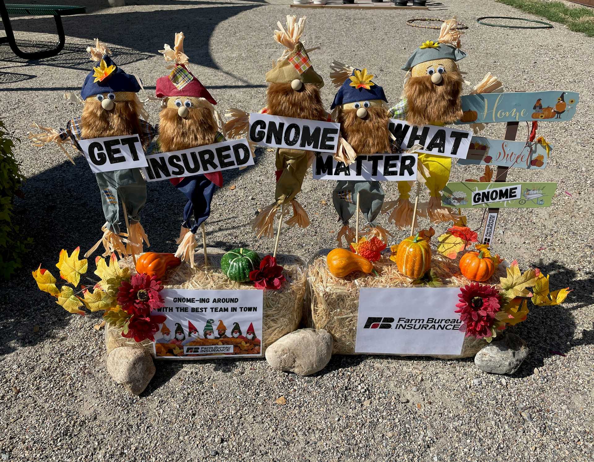 Get Insured "GNOME" Matter What