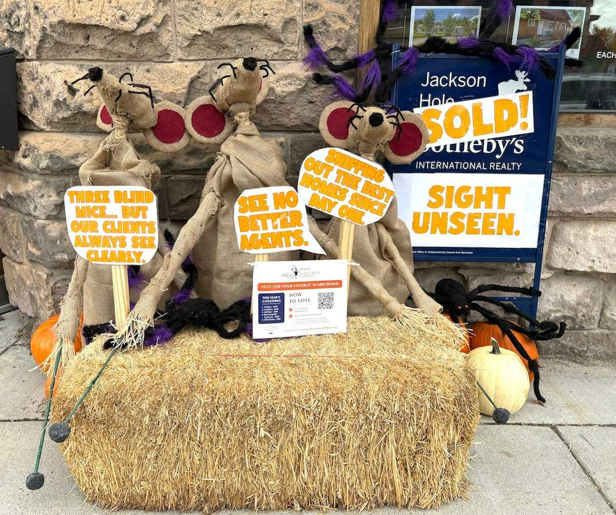 3 Blind Mice