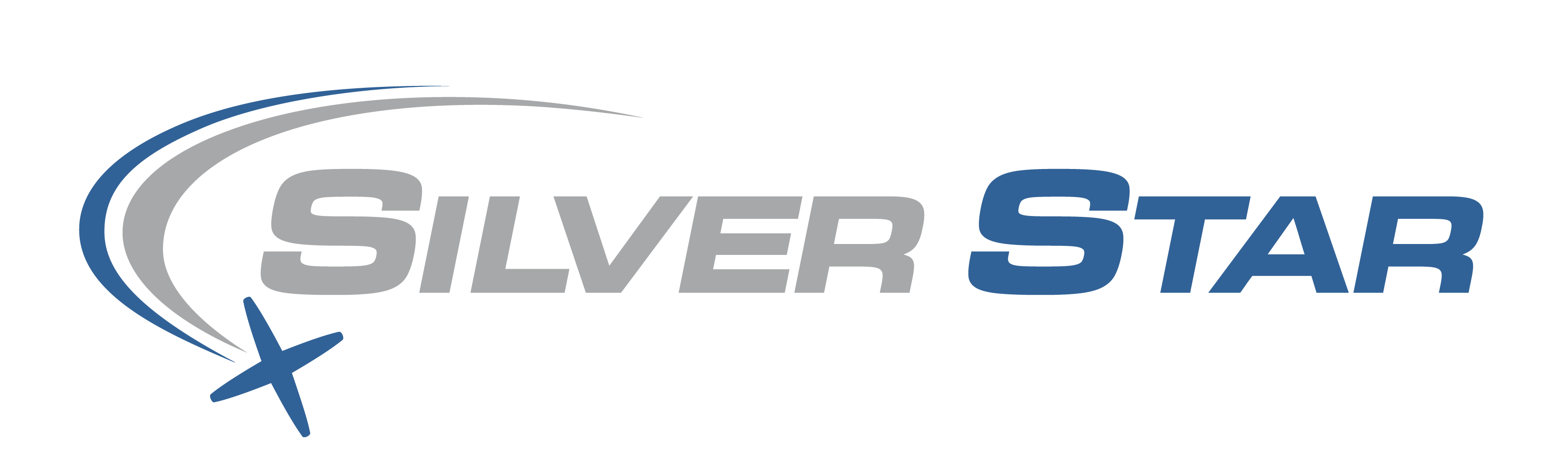 Silver Star Logo