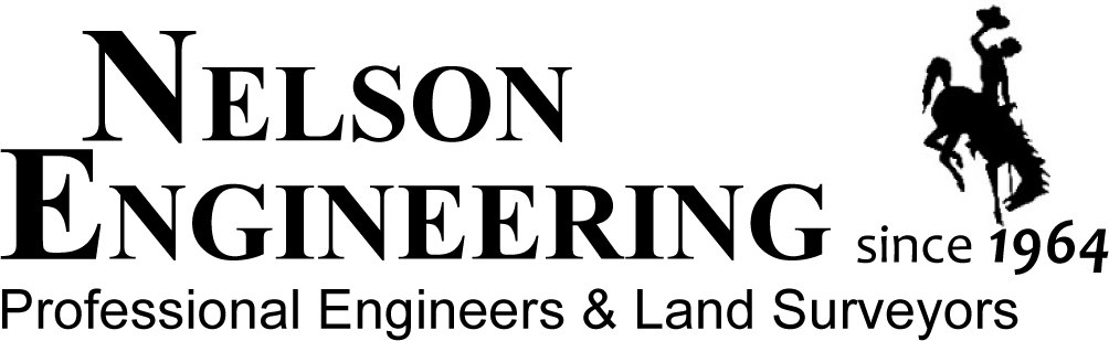 Nelson Engineering logo