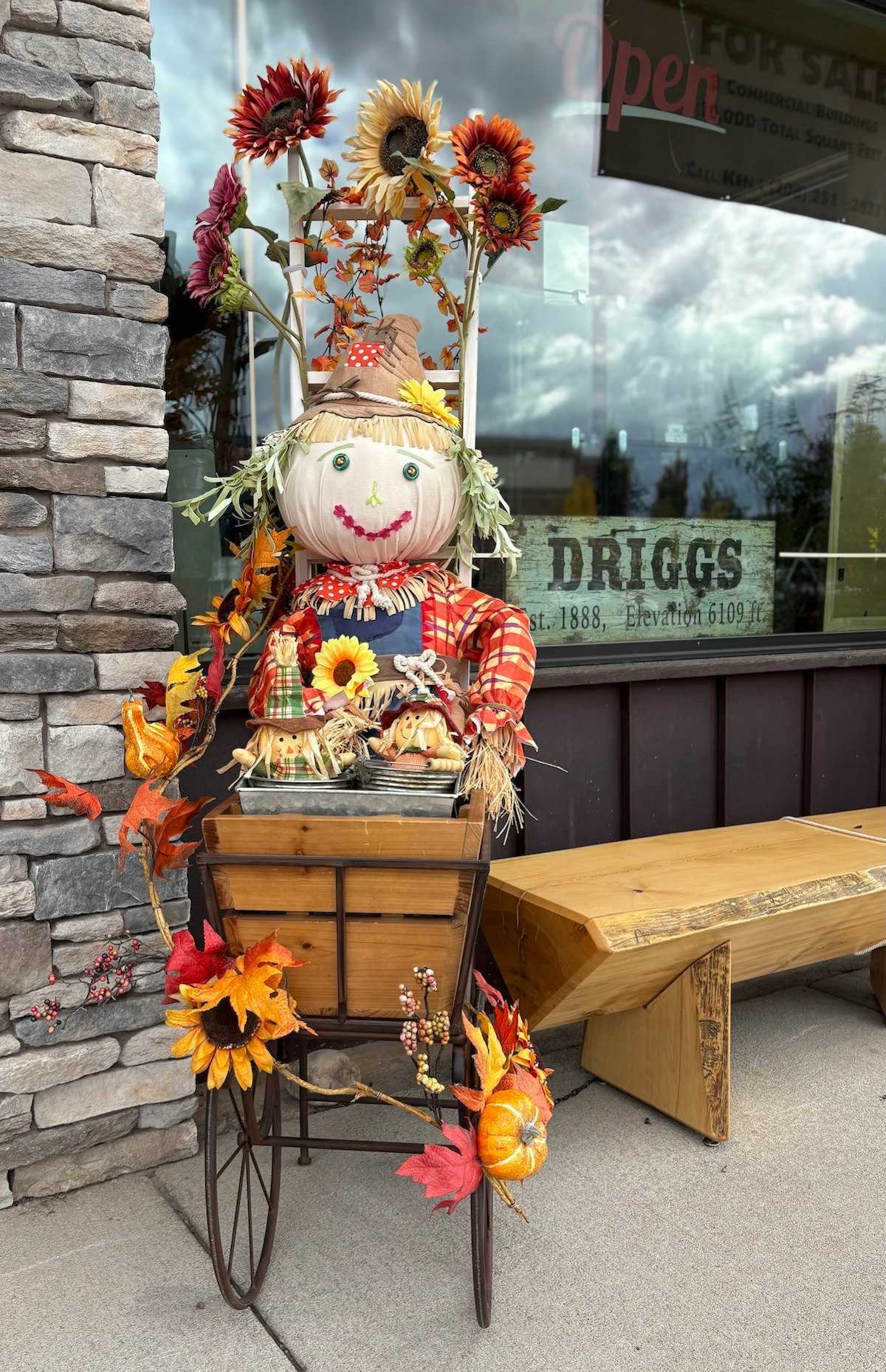 Happy Harvest