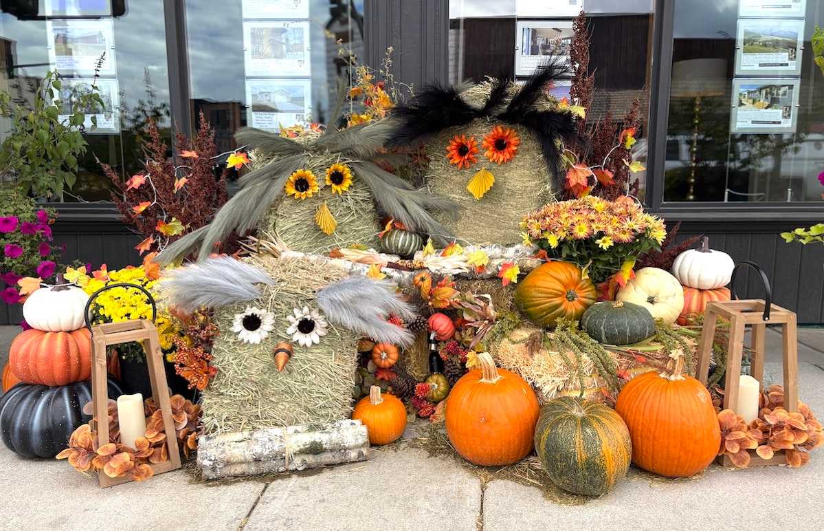 Harvest Hoot