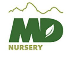 MD Nursery Logo