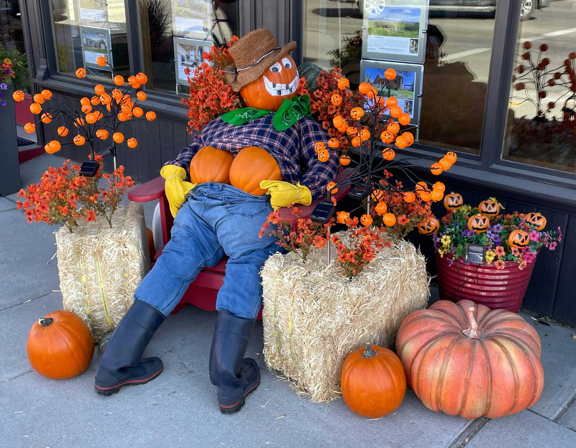 "The Harvest Moon" Bumpkin